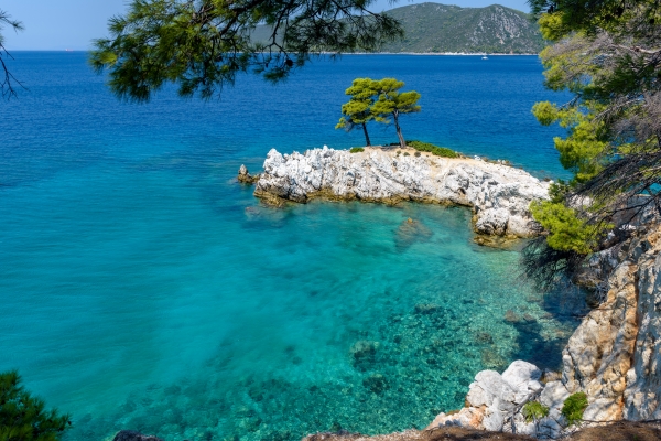 Iconic three trees of Skopelos by Amarandos Cove